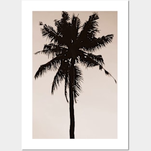 Cool Palm Tree Bro! Posters and Art